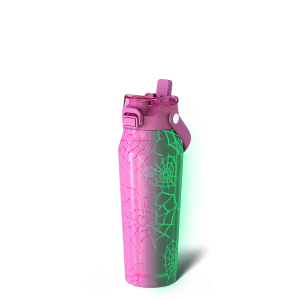 Bottle Buddy 24oz | Pink Widow